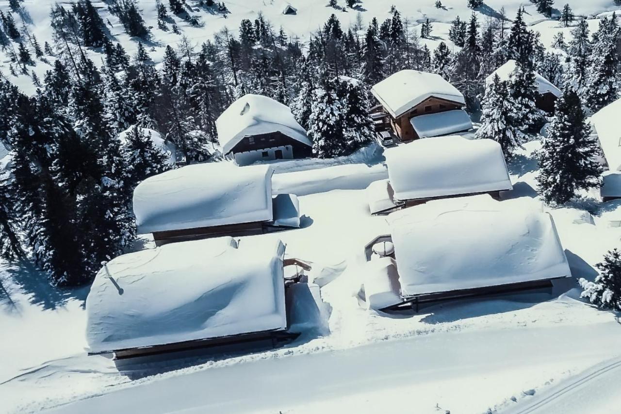 Heidi Chalets Falkert Heidialm - Chalets Bergwinter Patergassen エクステリア 写真