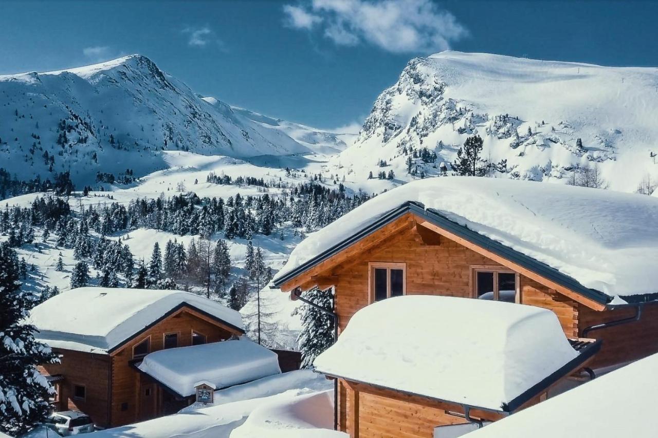 Heidi Chalets Falkert Heidialm - Chalets Bergwinter Patergassen エクステリア 写真
